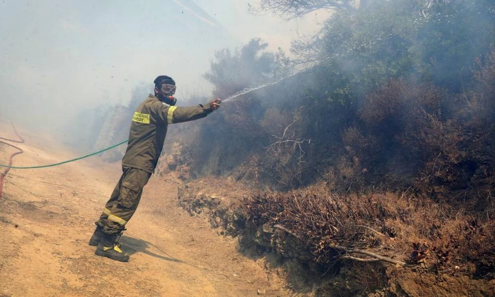 Συναγερμός στην Πυροσβεστική: Φωτιά σε δασική έκταση κοντά στην Κάρυστο